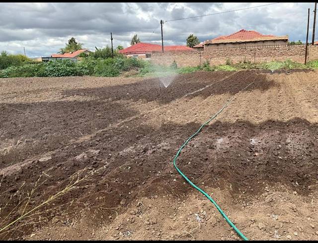 LAND FOR SALE IN MANKWENG